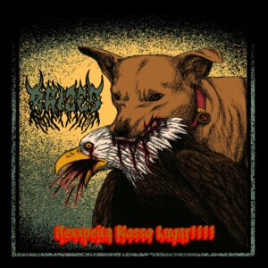 Rexpeita Nosso Lugar-capa