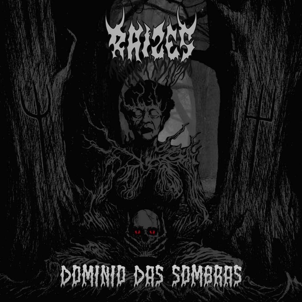 Dominio das Sombras Cover Art
